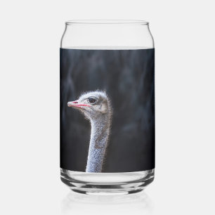 Verre Canette Photographie d'autruche