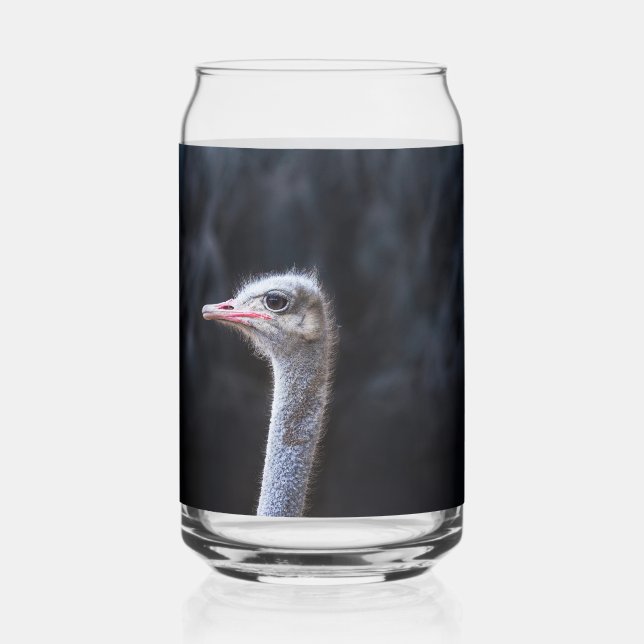 Verre Canette Photographie d'autruche (Recto)