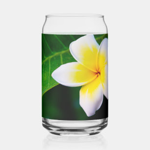 Verre Canette Photographie de fleurs de plumeria