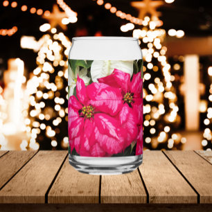Verre Canette Pink and White Variegee Poinsettias Holiday