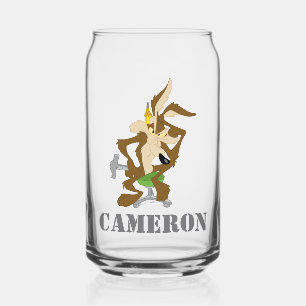 Verre Canette Planification de BORIS™
