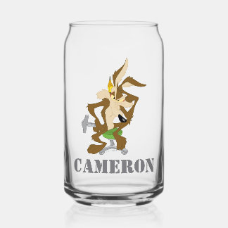 Verre Canette Planification de BORIS™