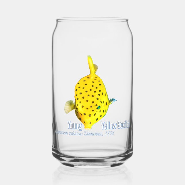 Verre Canette Poisson jaune (Recto)