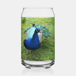 Verre Canette Pouvoir du Paon Royal