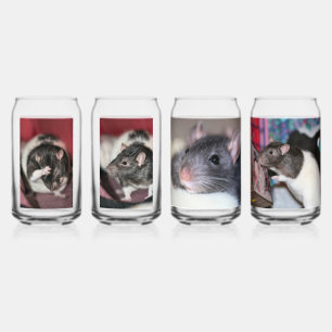 Verre Canette Rats