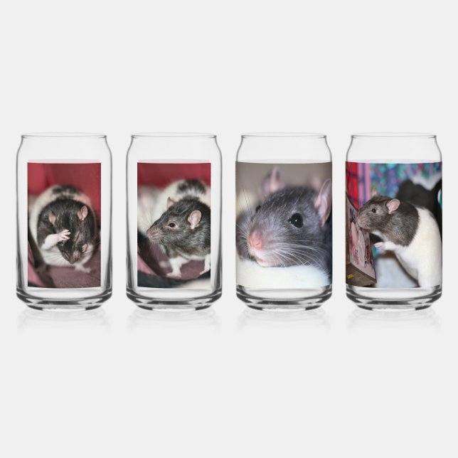 Verre Canette Rats (Recto)