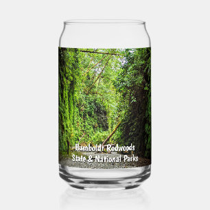 Verre Canette Sentier ruisseau du canyon des fougères boisé