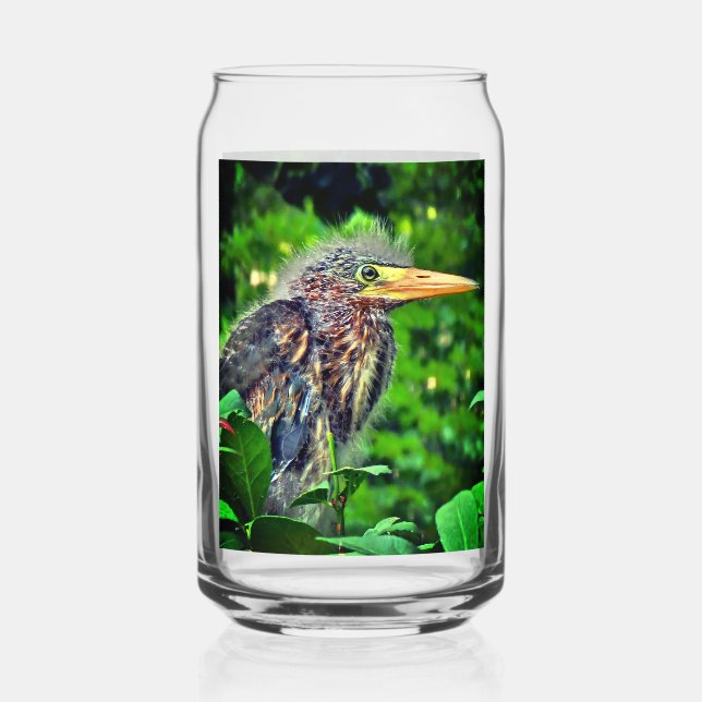 Verre Canette Un jeune Héron vert (Butorides virescens) (Verso)