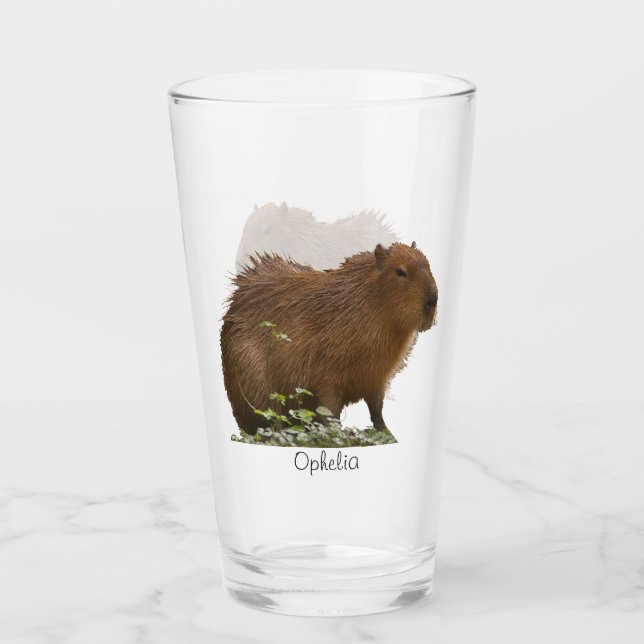 Verre Capybara (Devant)