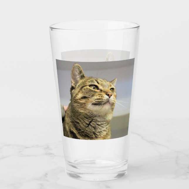 Verre Cat (Devant)