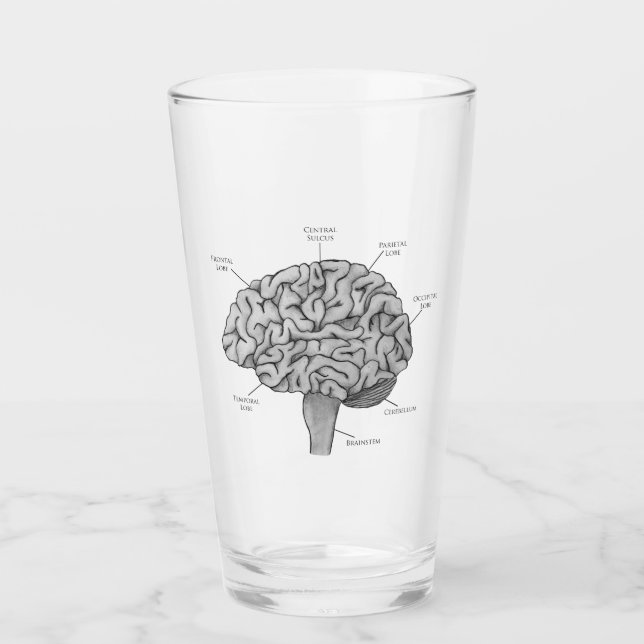 Verre Cerveau Scientifique (Devant)
