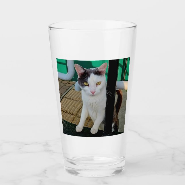 Verre Chat noir et blanc (Devant)