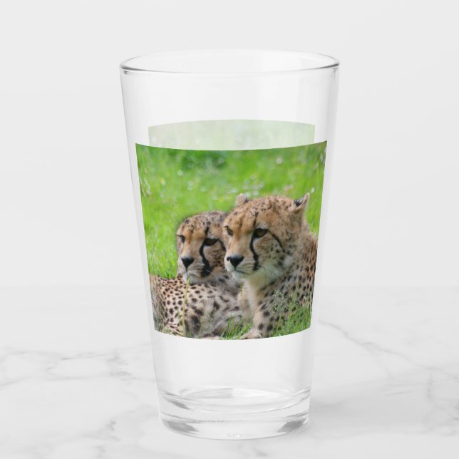 Verre Cheetah 001 (Devant)
