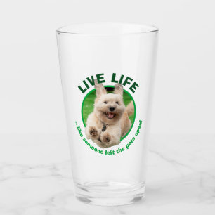 Verre Chien Courant Dans Le Jardin