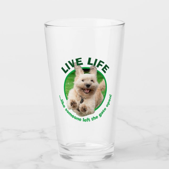 Verre Chien Courant Dans Le Jardin (Devant)