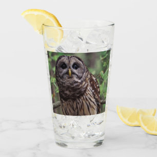 Verre Chouette barrée