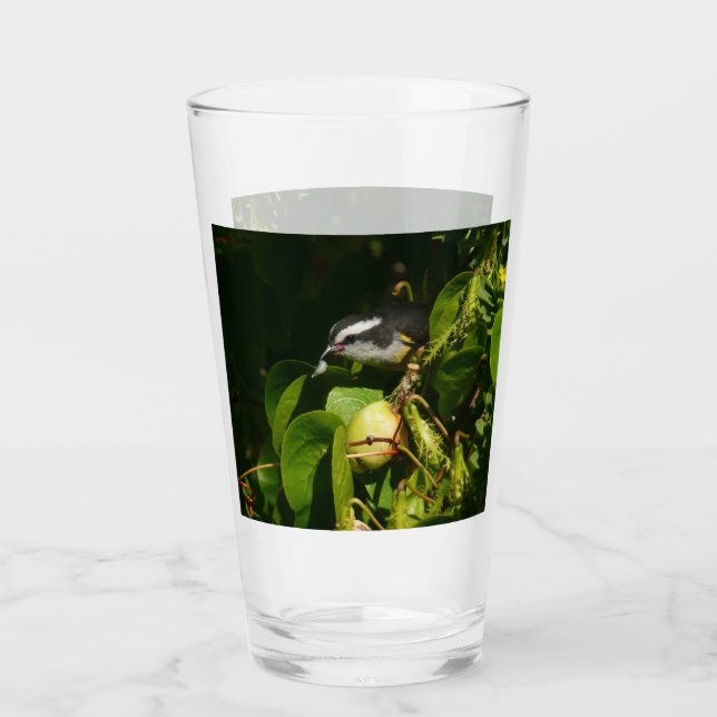 Verre Colibri à gorge blanche mangeant Photographie trop (Devant)