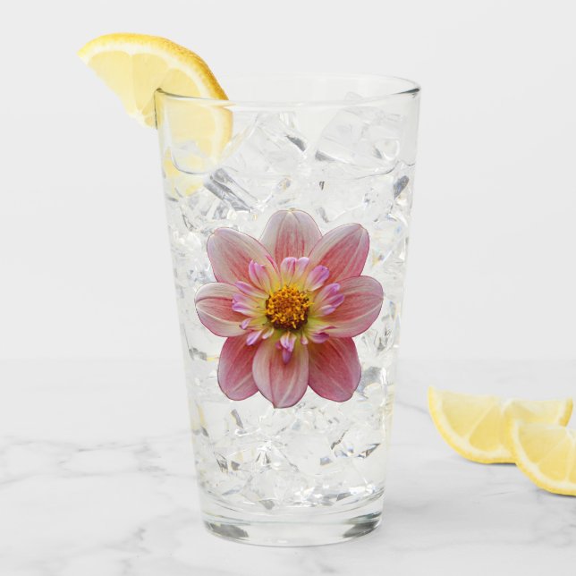 Verre Collarette rose Dahlia fleuri (Devant glace)