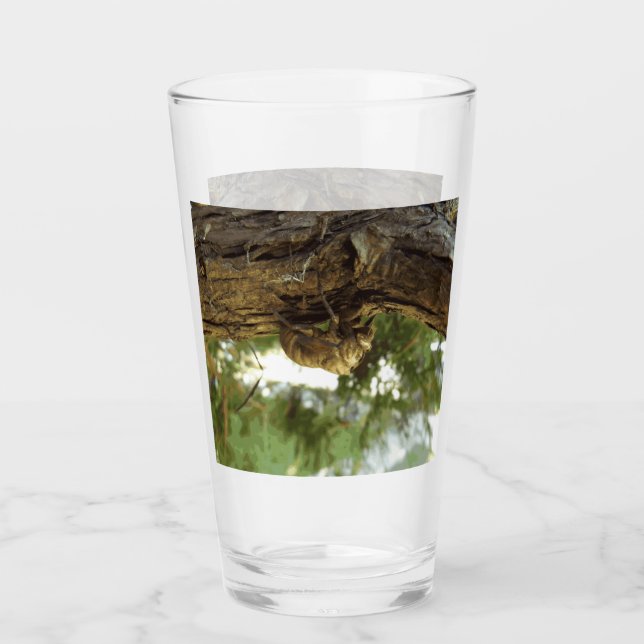 Verre Coquille de Canada. C'était pressé. (Devant)