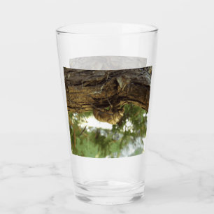 Verre Coquille de Cicada. C'était pressé.