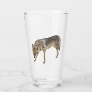 Verre Coyote