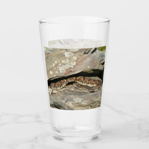Verre Crotale à Shenandoah National Park