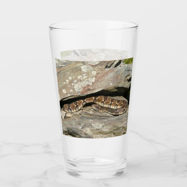 Verre Crotale à Shenandoah National Park (Devant)