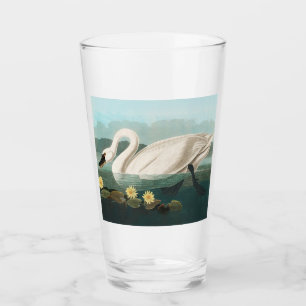 Verre cygne audubon cygnes d'eau blanche