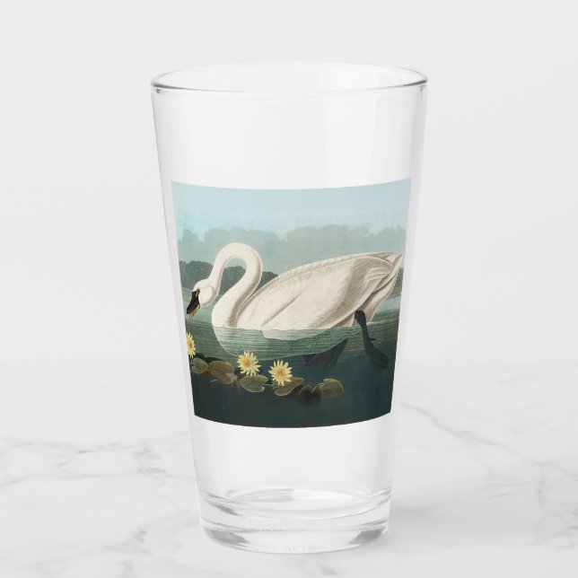 Verre cygne audubon cygnes d'eau blanche (Devant)