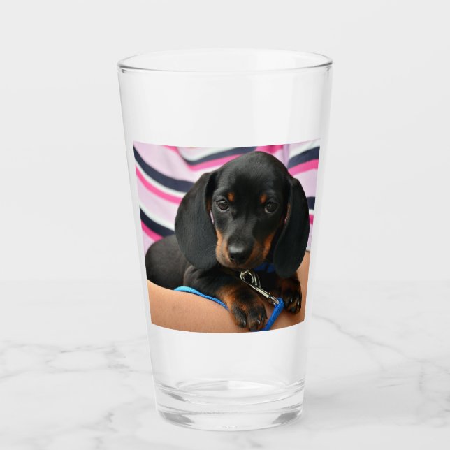 Verre dachshund-chiot mignon (Devant)