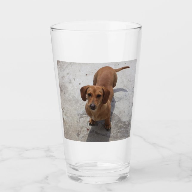Verre dachshund plein (Devant)