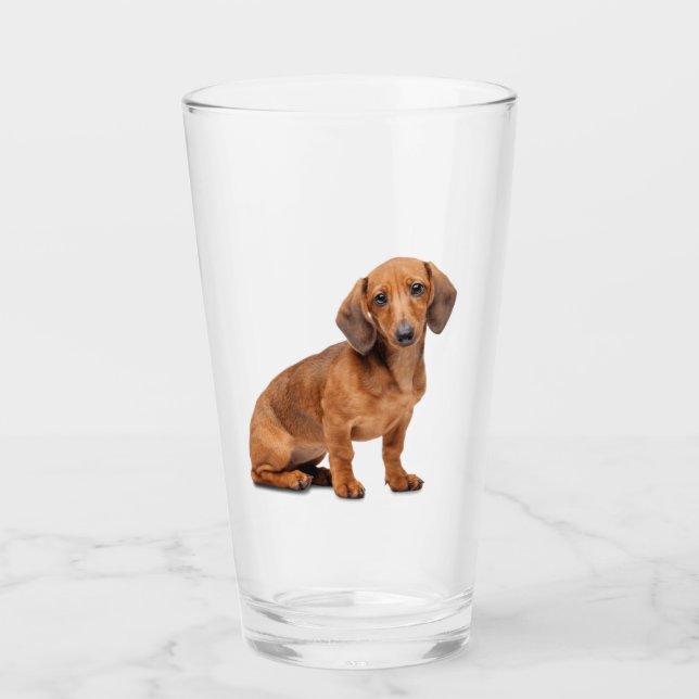 Verre Dachshund Vitre animal animal animal animal (Devant)