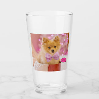 Verre de chiot Pomeranian mignon