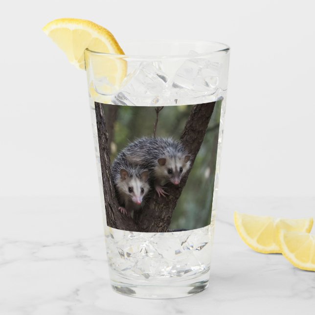 Verre Double difficulté dans la canopée : Sommes jumelle (Devant glace)