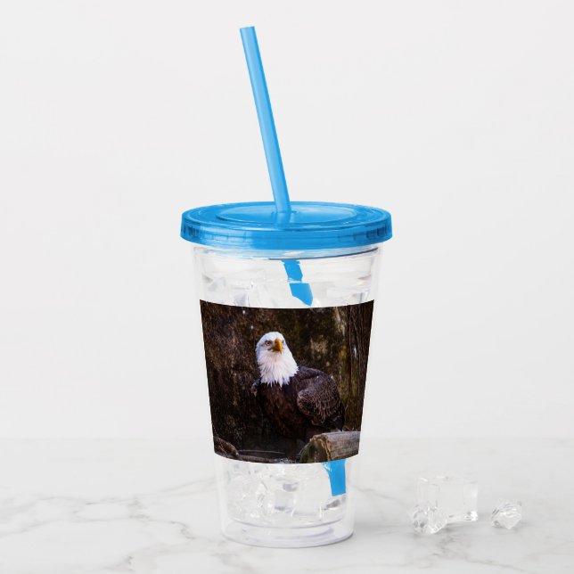 Verre En Acrylique Aigle de Bald (Devant glace)
