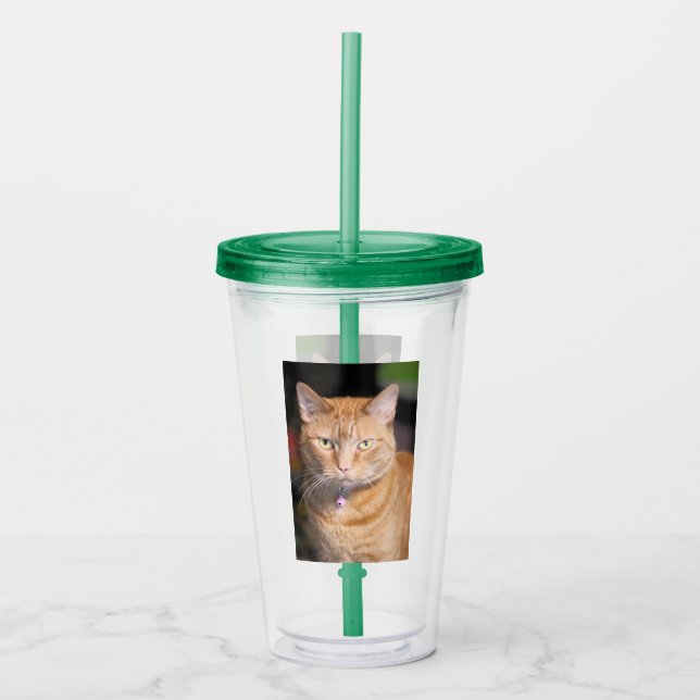 Verre En Acrylique Cat (Devant)