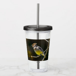 Verre En Acrylique Cèdre cire Songbird Photo originale Oiseau sauvage