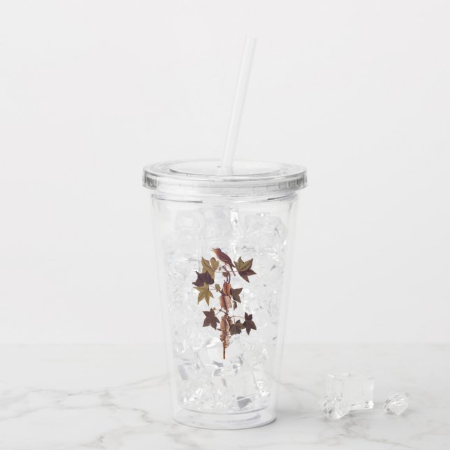 Verre En Acrylique Colibri Audubon Traill (Dos glace)