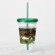 Coquille de Canada. C'était pressé.