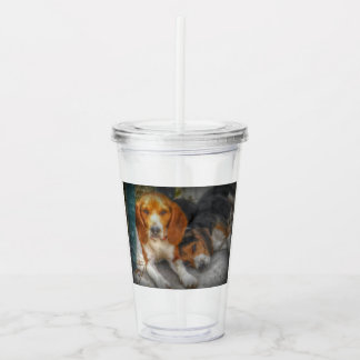 Verre En Acrylique Frères beagles