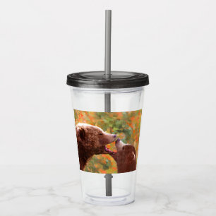 Verre En Acrylique Grizzly Bear Maman et Cub Peinture Faune Art