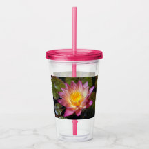 Jolie Lily D'Eau Rose