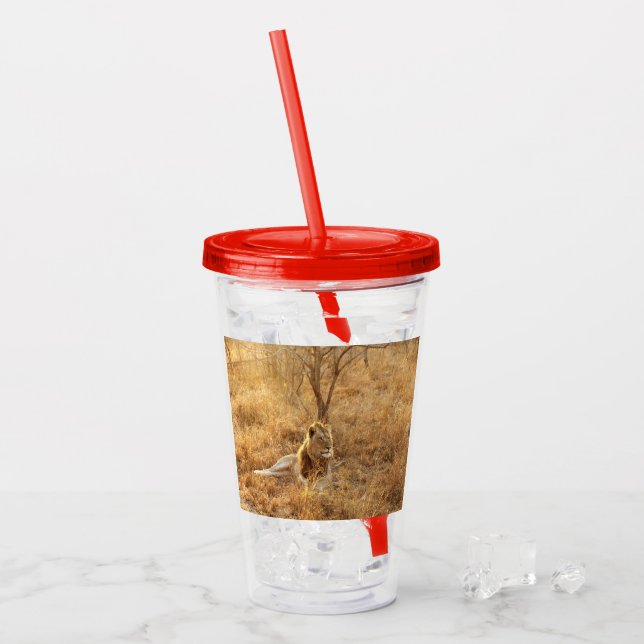 Verre En Acrylique Lion (Devant glace)
