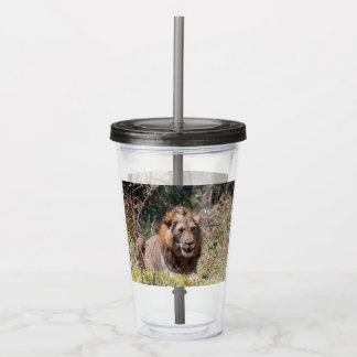 Verre En Acrylique Lions Tumbler