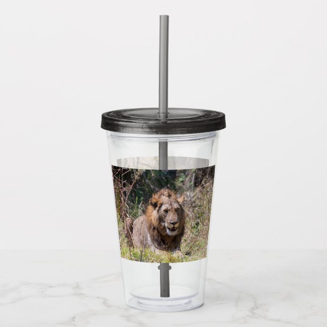 Verre En Acrylique Lions Tumbler (Devant)
