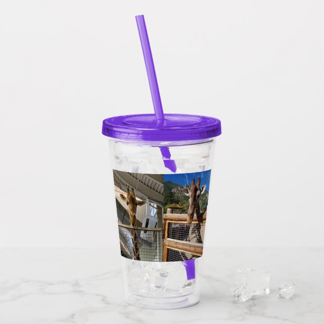 Verre En Acrylique Muziki Laikipia Tumbler (Devant glace)