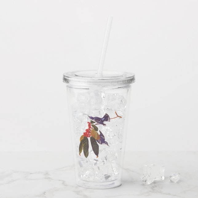Verre En Acrylique Oiseaux de Paruline Céruleenne d'Audubon avec baie (Dos glace)