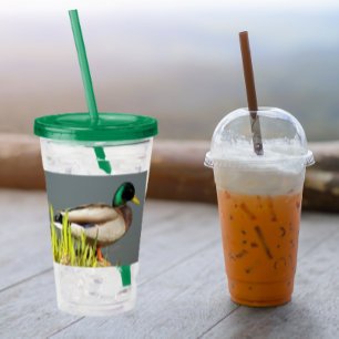 Verre En Acrylique Photo de la faune de Mallard Duck