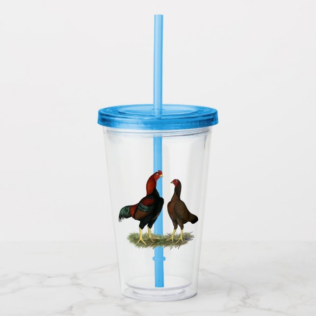 Verre En Acrylique Poules Aseel Black Red (Devant)