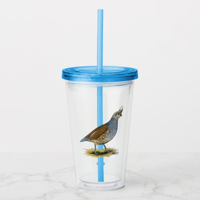 Verre En Acrylique Quail à échelle (Devant)